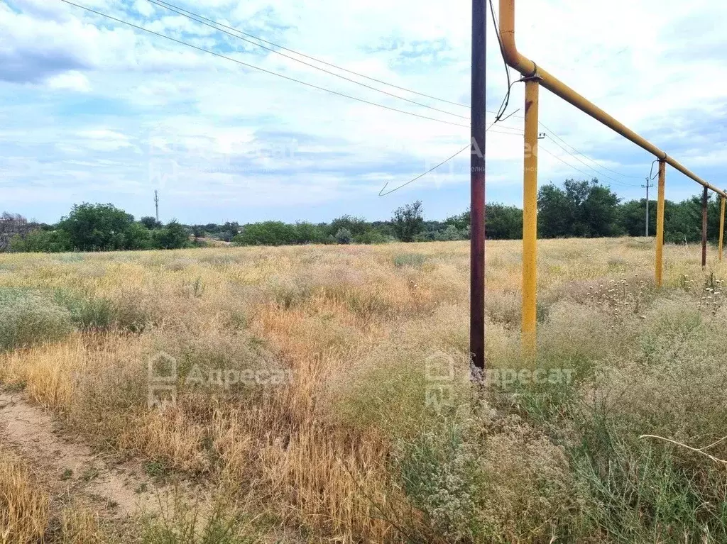 Участок в Волгоградская область, Светлоярский район, Кировское с/пос, ... - Фото 1