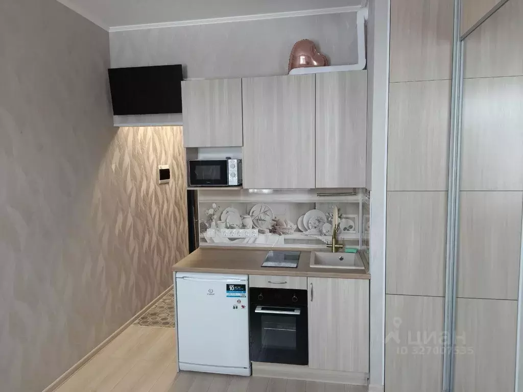 Студия Московская область, Раменское ул. Березовая Роща, 8 (18.0 м) - Фото 2