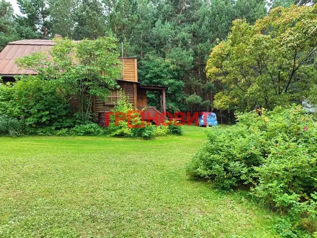 Дом в Новосибирская область, Ордынский район, д. Ерестная Центральная ... - Фото 2