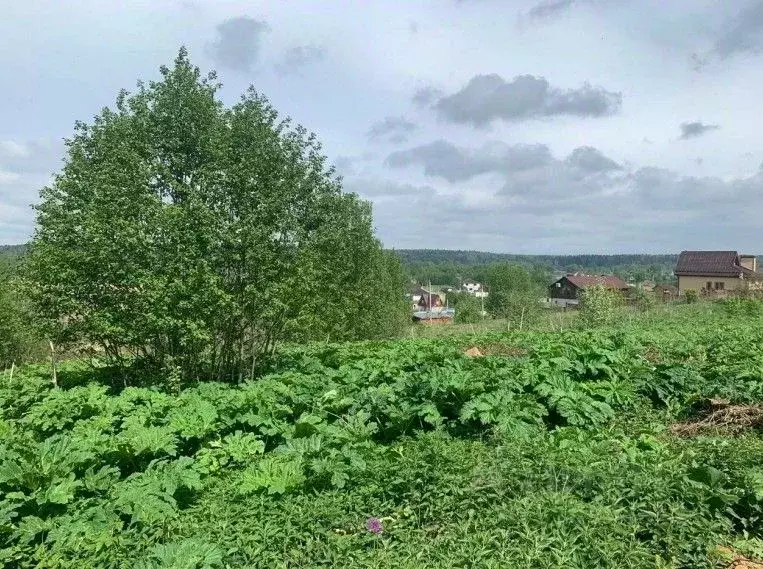 Участок в Московская область, Солнечногорск Загорье-2 мкр,  (9.98 ... - Фото 0
