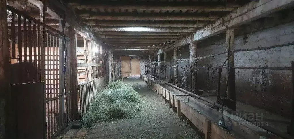 Склад в Пермский край, Ильинский муниципальный округ, с. Кривец пер. ... - Фото 1