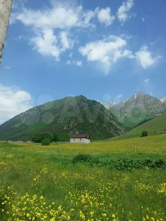 Участок 13 сот. (ИЖС) - Фото 1
