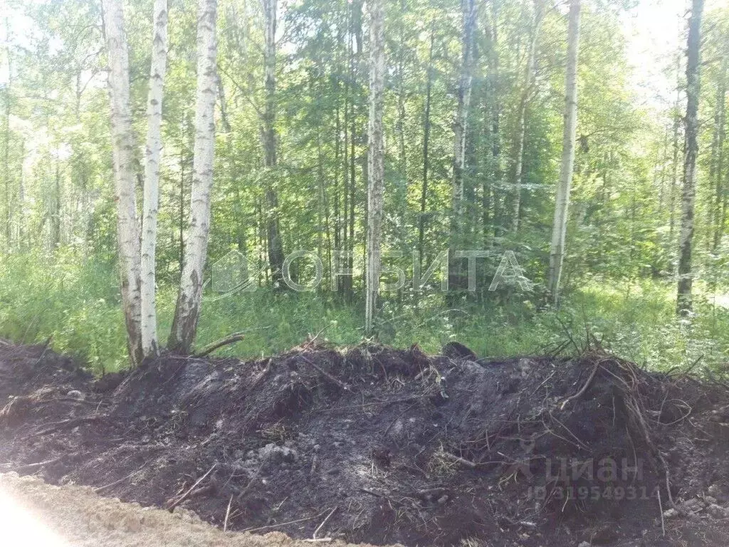 Участок в Тюменская область, Нижнетавдинский район, с. Тюнево  (8.5 ... - Фото 1