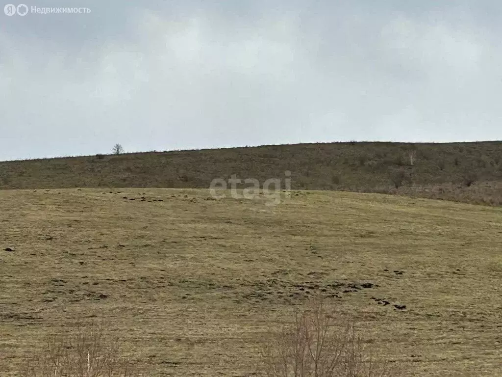 Участок в село Ая, улица Куйбышева (20 м) - Фото 1