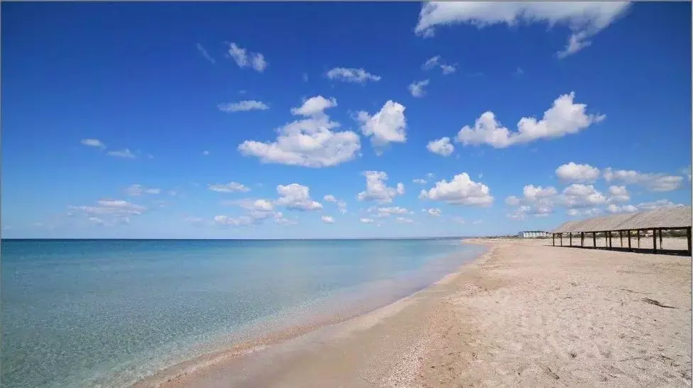 Участок в Крым, Сакский район, с. Штормовое ул. Крымская (20.0 га.) - Фото 2