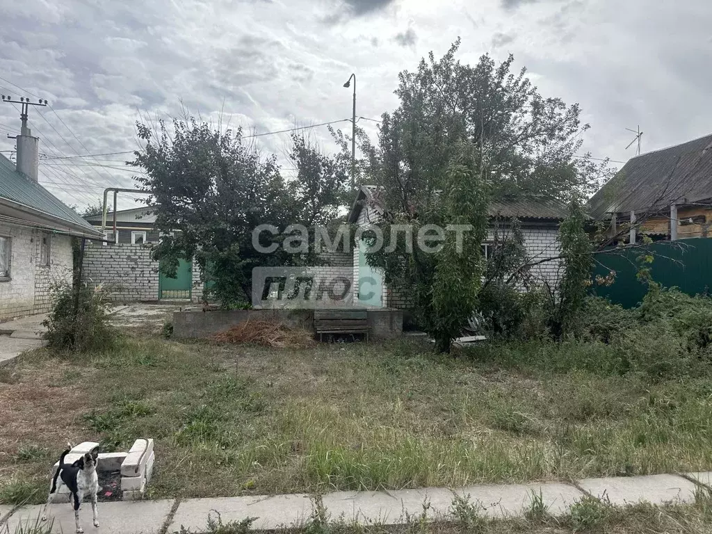 Участок в Волгоградская область, Волгоград пос. Ангарский, ул. ... - Фото 1