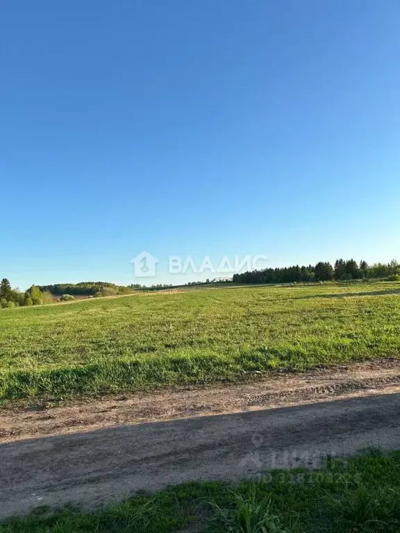 Участок в Пермский край, д. Большой Буртым тракт Сибирский, 49 (13.0 ... - Фото 1