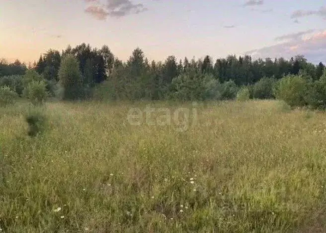 Участок в Кировская область, Кирово-Чепецкий район, Кстининское с/пос, ... - Фото 1