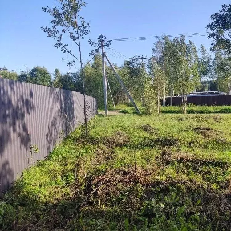 Участок в Московская область, Сергиево-Посадский городской округ, д. ... - Фото 0