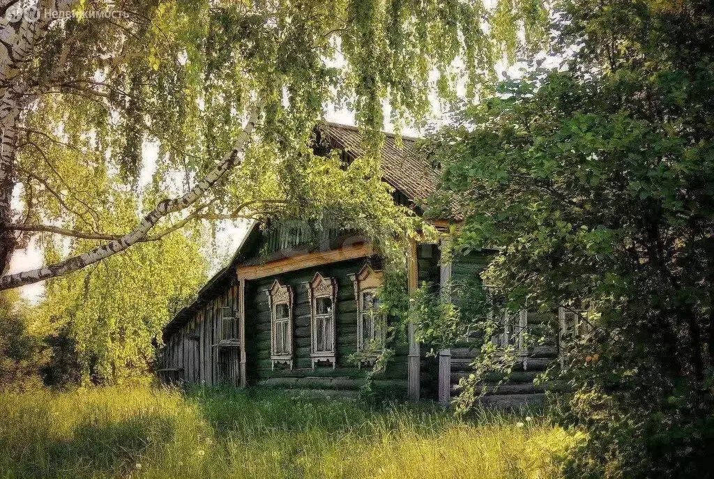 Дом в Курганская область, Белозерский муниципальный округ, село ... - Фото 2