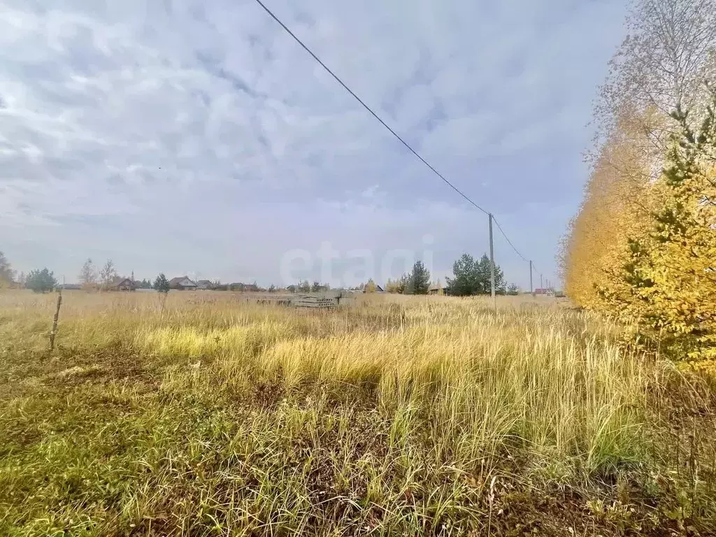 Участок в Мордовия, Кочкуровский район, с. Булгаково ул. Родная (12.5 ... - Фото 1