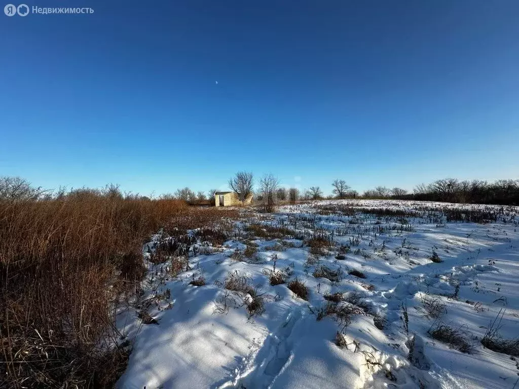 Участок в Амурская область, Благовещенский муниципальный округ, село ... - Фото 0