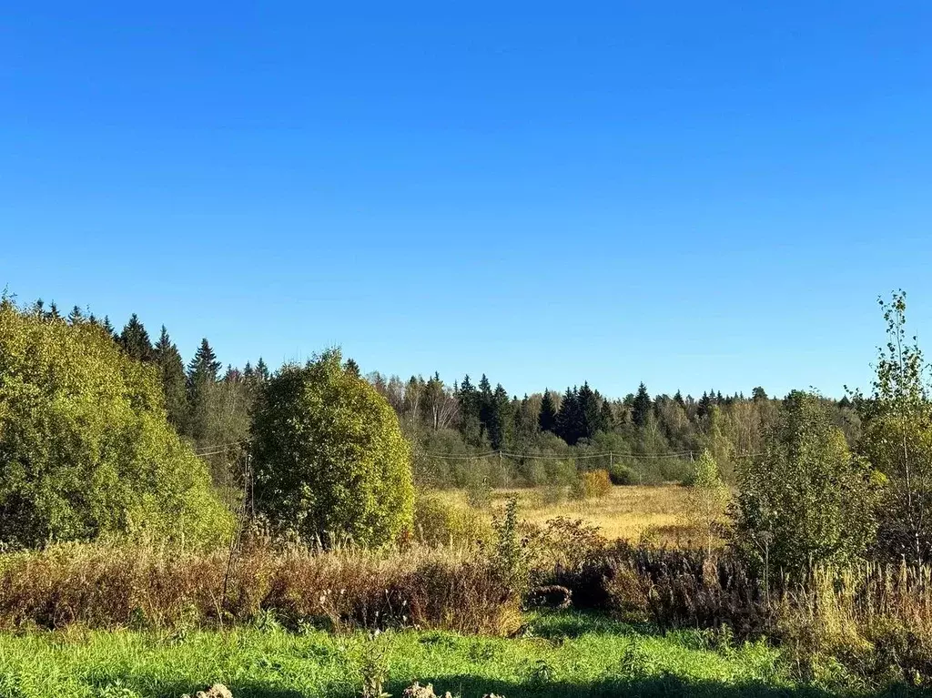 Участок в Московская область, Дмитровский муниципальный округ, Ерыково ... - Фото 1