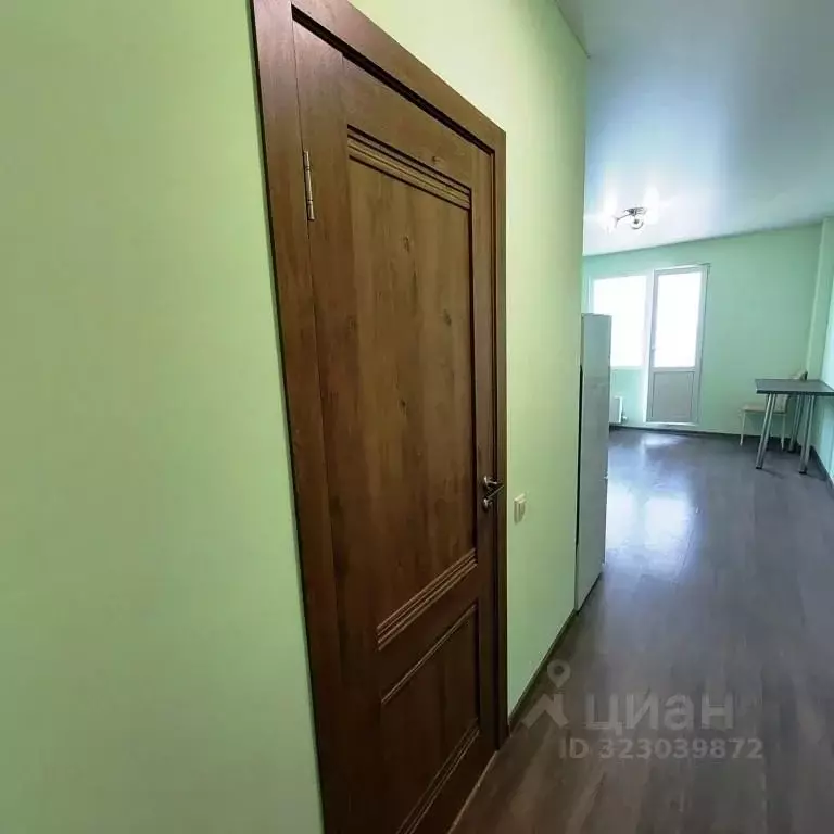 Студия Московская область, Солнечногорск городской округ, Голубое пгт ... - Фото 2