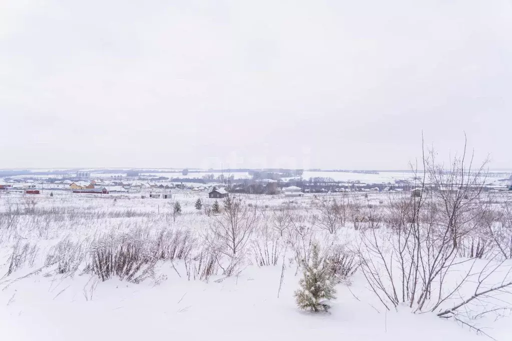 Участок в Башкортостан, Чишминский район, Лесной сельсовет, с. ... - Фото 2