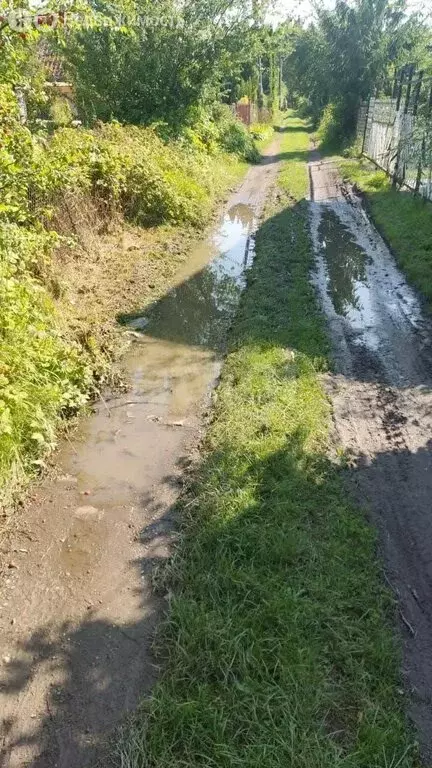 Участок в Светлогорск, СНТ Радуга, 10-я линия (4.55 м) - Фото 2