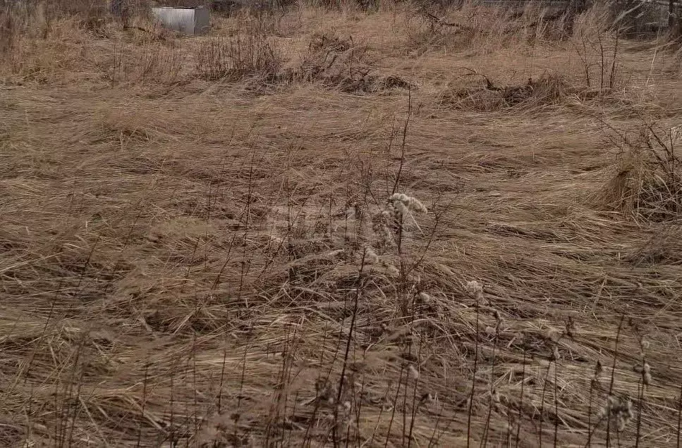 Участок в Владимирская область, Покров городской округ, д. Иваново ул. ... - Фото 2