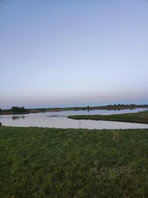 Участок в Владимирская область, Александровский район, Андреевское ... - Фото 1