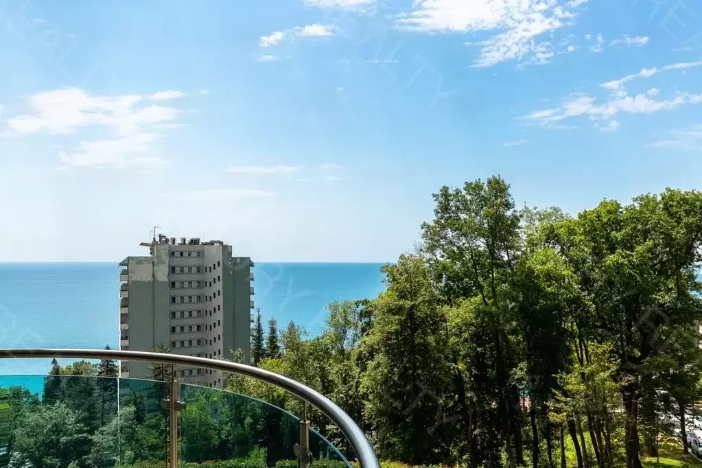 3-к кв. Краснодарский край, Сочи Курортный просп., 105б (95.0 м) - Фото 2