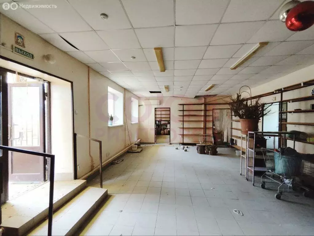 Помещение свободного назначения (310.8 м) - Фото 1