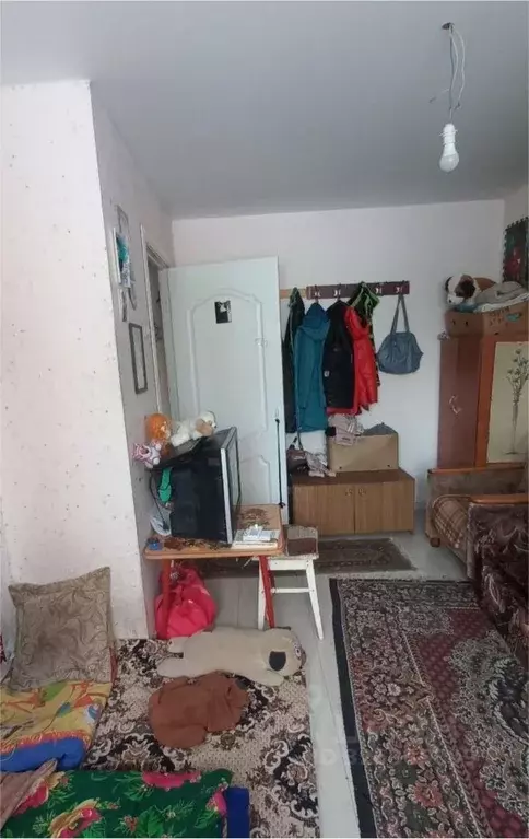 1-к кв. Удмуртия, Ижевск Буммашевская ул., 2А (20.7 м) - Фото 2