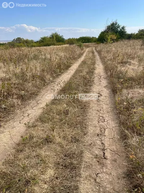 Участок в Белгородская область, Яковлевский муниципальный округ, село ... - Фото 1