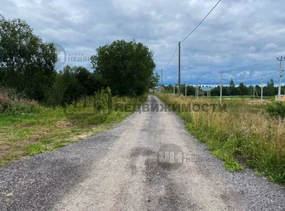 Участок в Ленинградская область, Всеволожский район, Романовское ... - Фото 2