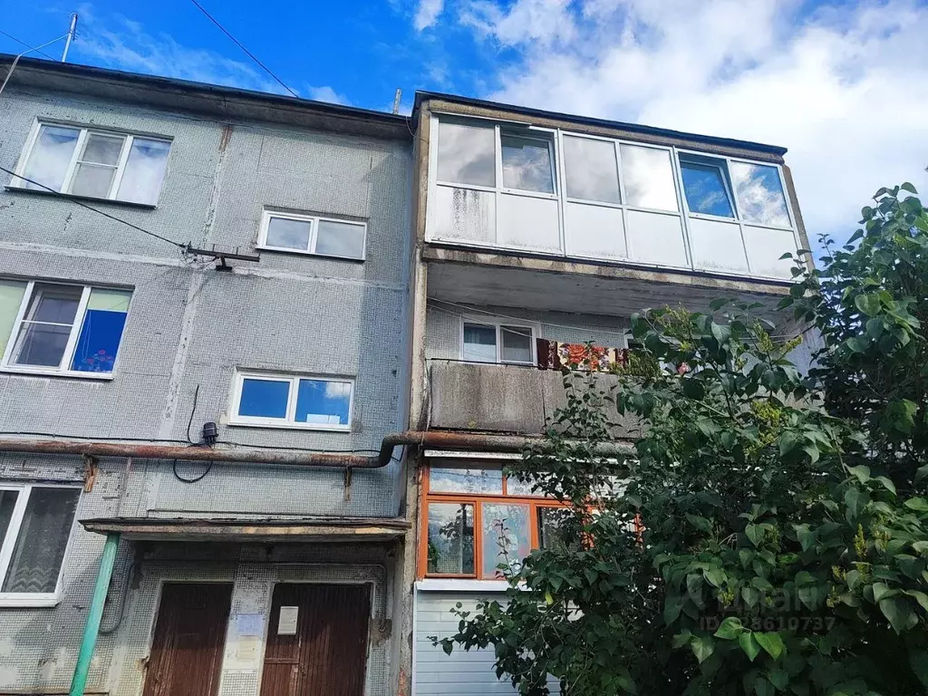 2-к кв. Новгородская область, Новгородский район, Борковское с/пос, д. ... - Фото 1