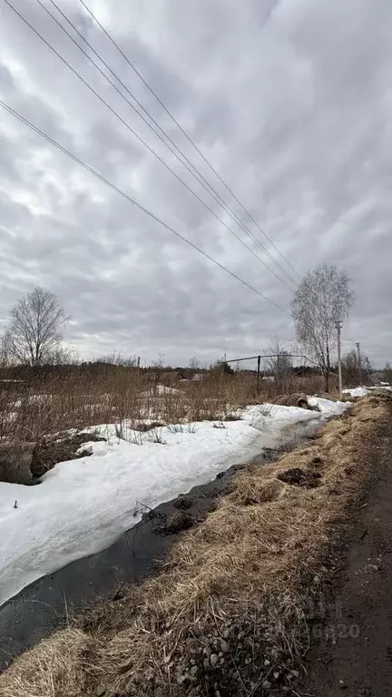 Участок в Вологодская область, Череповецкий район, пос. Суда Новая ... - Фото 1
