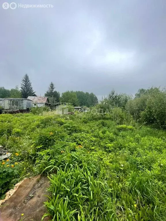 Дом в Новосибирск, СНТ Золотая Горка, аллея М (40 м) - Фото 1