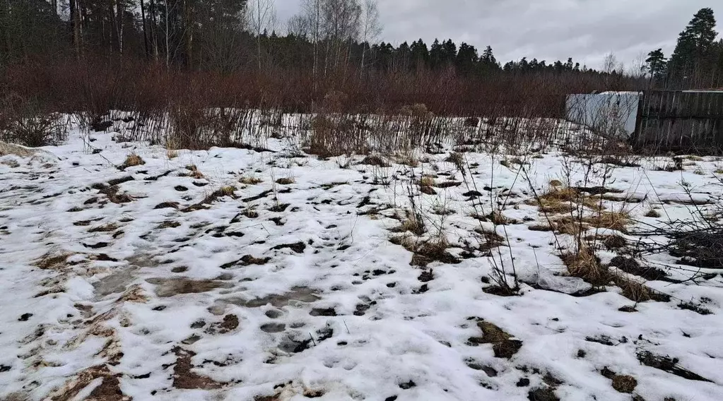 Участок в Московская область, Щелково городской округ, пос. Литвиново  ... - Фото 0