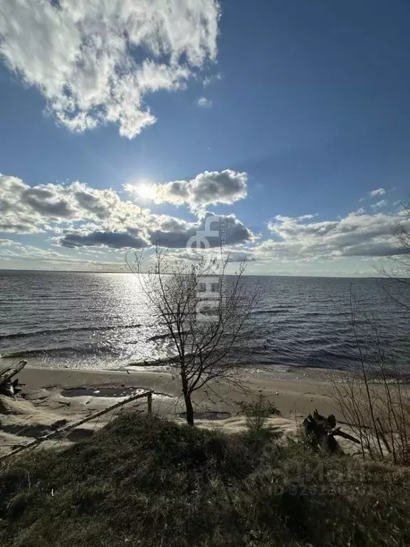 Участок в Нижегородская область, Сокольский муниципальный округ, д. ... - Фото 2