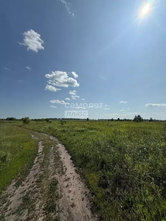 Участок в Пензенская область, Кузнецк Начальный проезд (15.0 сот.) - Фото 1