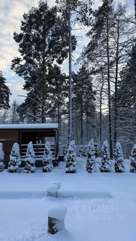 Дом в Ленинградская область, Приозерский район, Раздольевское с/пос, ... - Фото 2