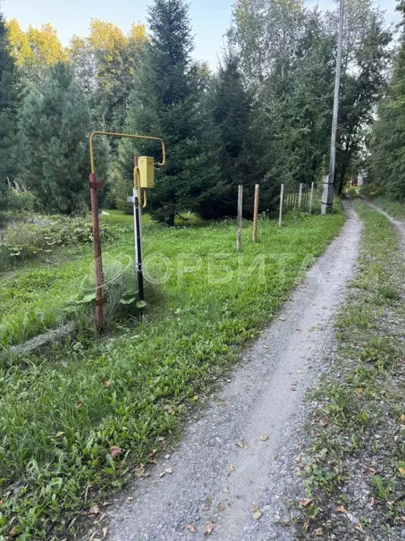 Участок в Тюменская область, Нижнетавдинский район, Геолог-2 СНТ  ... - Фото 2