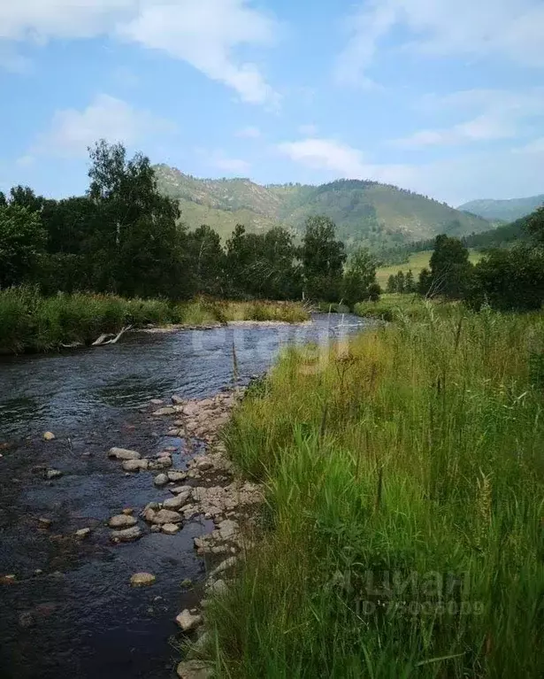 Участок в Алтай, Шебалинский район, с. Кумалыр  (32011.0 сот.) - Фото 1