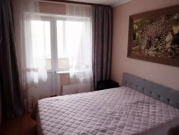 3-к кв. Московская область, Лосино-Петровский городской округ, ... - Фото 2