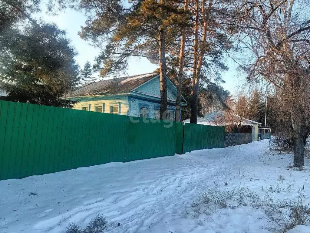 Дом в Амурская область, Благовещенск городской округ, с. Белогорье ул. ... - Фото 1