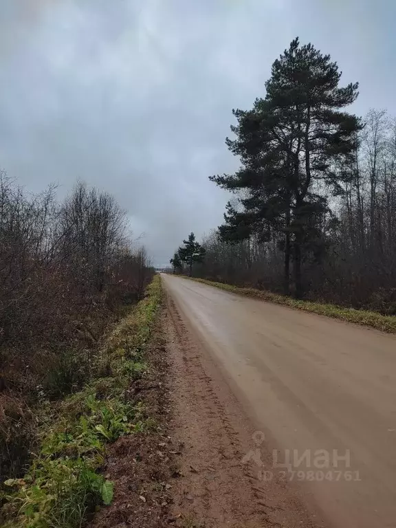 Участок в Новгородская область, Чудовский район, Трегубовское с/пос, ... - Фото 2