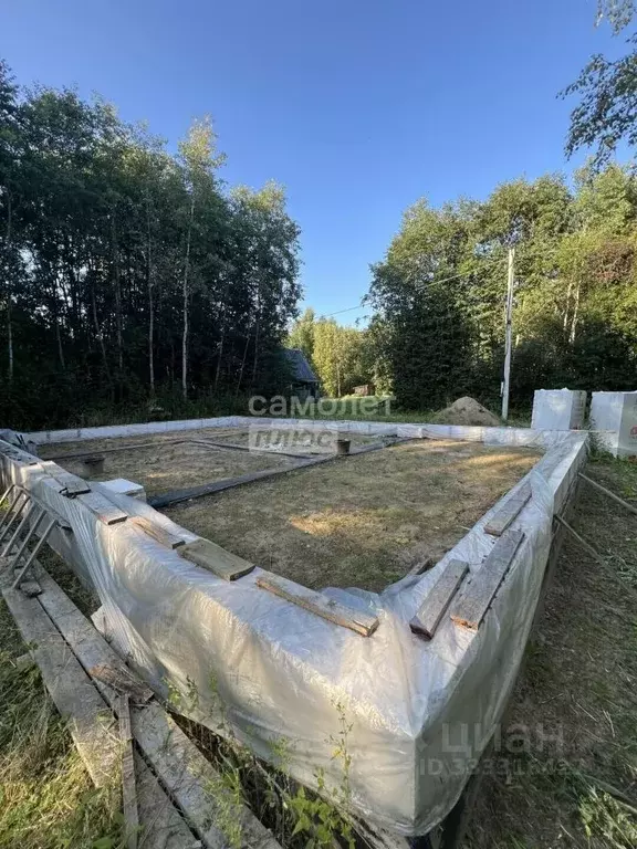 Участок в Вологодская область, Вологда Педагог СНТ, 2727 (6.0 сот.) - Фото 1