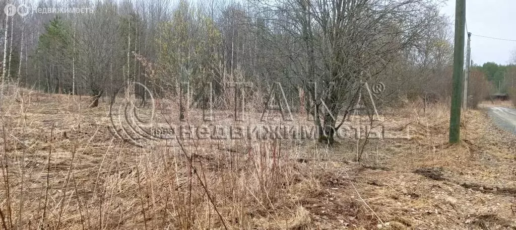 Участок в Ленинградская область, Лодейнопольское городское поселение, ... - Фото 1