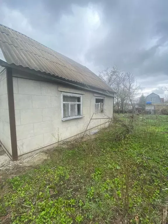 Участок в Ростовская область, Мясниковский район, Большесальское ... - Фото 1