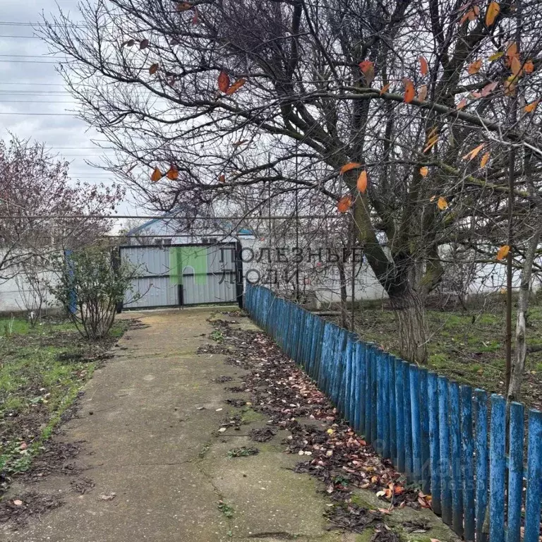 Дом в Крым, Черноморский район, с. Красная Поляна ул. Ленина (73 м) - Фото 2