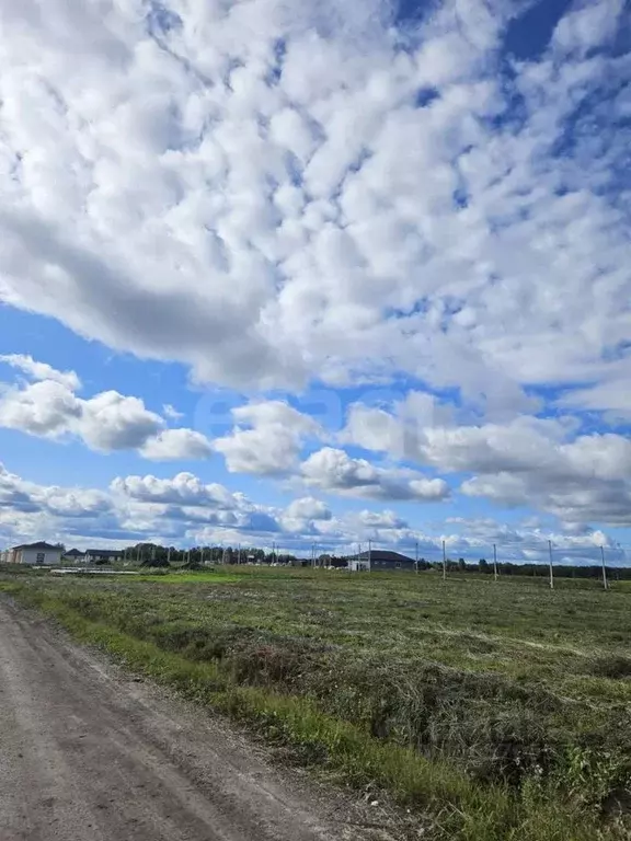 Участок в Тюменская область, Тюменский район, д. Елань  (8.0 сот.) - Фото 0