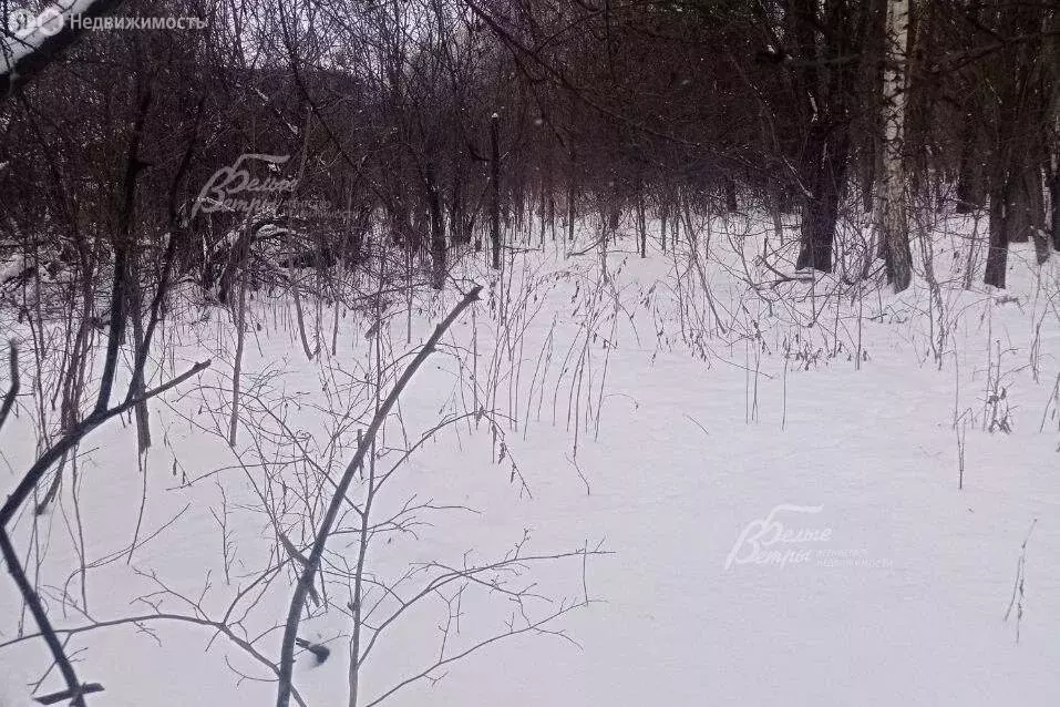 Участок в Москва, НАО, район Коммунарка, деревня Зимёнки (41.4 м) - Фото 1