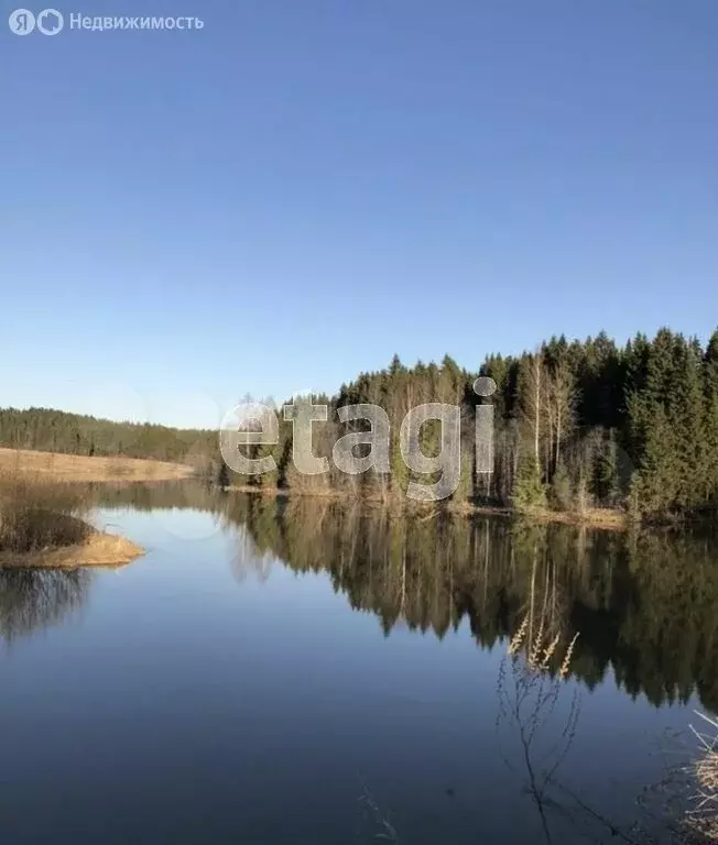 Участок в Пермский муниципальный округ, деревня Заболото (800 м) - Фото 1