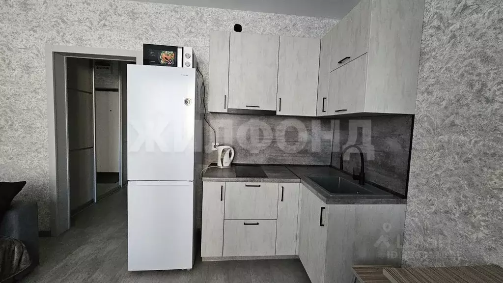 1-к кв. Новосибирская область, Новосибирск Ипподромская ул., 12 (22.0 ... - Фото 1