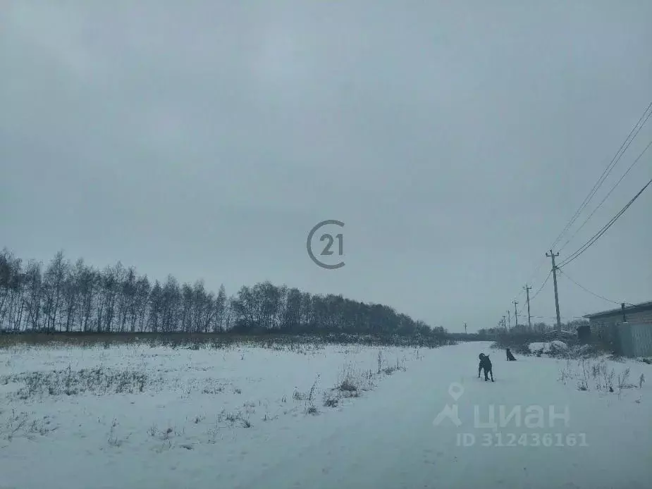 Участок в Тамбовская область, Тамбовский муниципальный округ, пос. ... - Фото 1