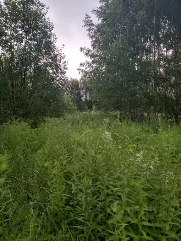 Участок в Нижегородская область, Нижний Новгород пос. Кудьма,  (86.82 ... - Фото 2