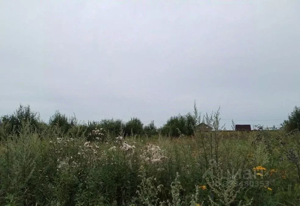 Участок в Московская область, Дмитровский муниципальный округ, с. ... - Фото 1